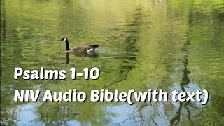 Psalms 1-10: NIV Audio Bible(with text)