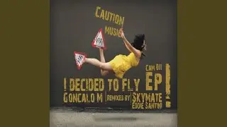 I Decided To Fly