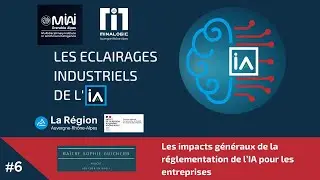 Les impacts g&eacute;n&eacute;raux de la r&eacute;glementation de l&rsquo;IA pour les entreprises