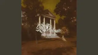 The Beloved Scylla