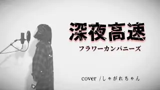 「深夜高速」歌ってみた。【フラワーカンパニーズ】ハスキーボイス女子。しゃがれちゃん