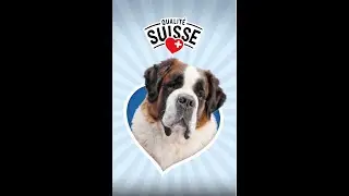 Stagione sciistica Bernie | Lidl Svizzera