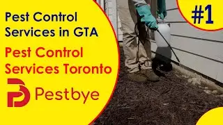 Pest Control Services in GTA, Pest Control Company in Toronto, Canada