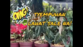 TYEMPUHAN SINALE NA LAHAT!