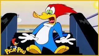 Pica-Pau em Portugu&ecirc;s | Basta Pedir ao Tio | Compila&ccedil;&atilde;o De 1 Hora | Desenhos Animados