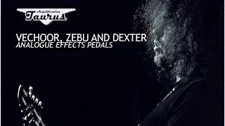 JOHN BROWNE | CAN TAURUS PEDALS RECREATE MILTON CLEANS?