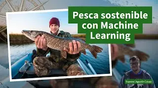 Final Project: Data Science Applied to Sustainable Fishing | Machine Learning in a Real Case