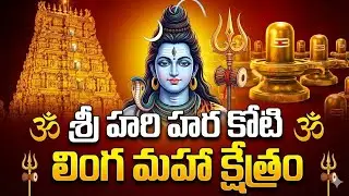 శ్రీ కోటిలింగ హరి హర మహా క్షేత్రం#viral 