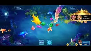 Royal x casino #royalxcasino #onlineearninggame #bigwinnings #3pattyblue
