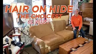 Hair on Hide Sofas