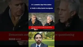 U.S. Lawmakers Demand Prince Andrew Testify in Jeffrey Epstein Scandal Investigation