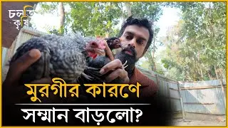 কম্পিউটারের ছাত্রটা কেন মুরগীর ব্যবসায়? | চলতি কৃষি