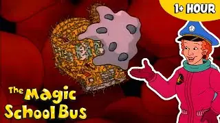 The Immune System | Full Episodes | Science for Kids | The Magic School Bus
