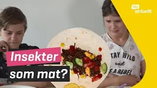 LARVER till fredagsmyset!? Bes&ouml;ker insektsfabrik | Lilla aktuellt