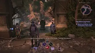 DA The Veilguard: Testing the Waters (Bellara's Lucanis/Neve Romance Banter)