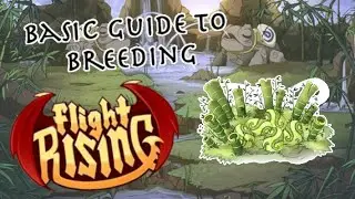 Basic Breeding Guide - Flight Rising