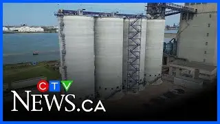Grain terminal expanded