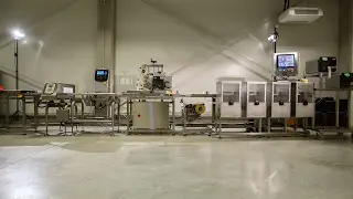 Masterprint WPL+G (M&eacute;rő- &eacute;s c&iacute;mk&eacute;ző rendszer + oszt&aacute;lyoz&oacute;)
