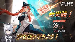 【#strinova 】 汐しか参加出来ないカスタム・・・？#102 【#新人vtuber 】【#ストリノヴァ】【#ストリノヴァ実況者】
