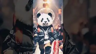 Panda Fashion Show!