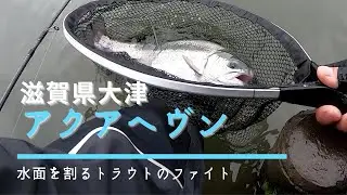 良型トラウト乱舞！【釣り堀アクアヘヴン】滋賀県大津市のエリアトラウト