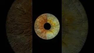 At Cosmic Eye, we capture the patterns and colors of your iris, transforming them into works of art