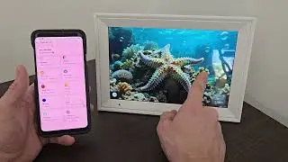 Linkdaze Digital Calendar Review and Quick Look