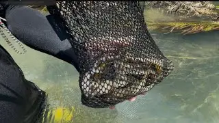 BIYA FISHING (MAUBAN QUEZON)