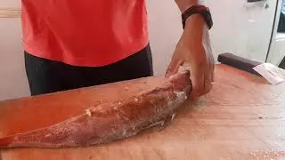 Limpando o Bacalhau brasileiro 