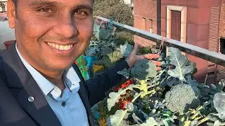 Client Testimonial from Noida sector 56, Vertical Vegetable Garden setup and services 