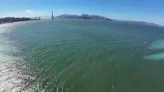 Crissy Field