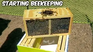 Starting Beekeeping - Vlog Week 1 Season 1