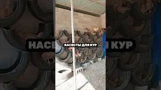 Насесты для кур