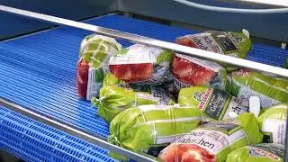 Poly-clip System &ndash; APL &ndash; Automatic Hanging Line &ndash; Automatische Aufh&auml;ngevorrichtung