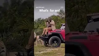 #Sher #henimal #sapari #short #viralvideo