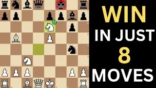 5 Best chess traps for intermediate players that works everytime!!