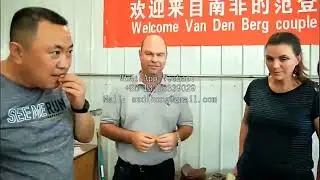 Chinese herbal heat pump dryer, wild vegetable cleaning and drying line, tunnel dehydrator - Alibaba