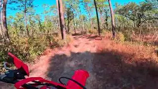 First Ride 23 Honda CRF250RX Wambaw Cycle Trail South Loop