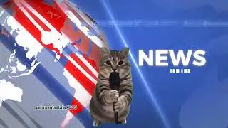 Kompilasi memecing di Sekolah 🏫 #kucing #catmemes #comedy #funny 