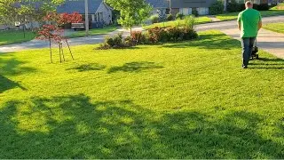 CX DIY, Disease Ex, Bio Stim, Backyard Bug Control Part 1