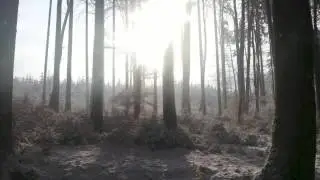 ALPABUTZ - VERTEUFELT German acoustic pagan folk. Based on Paganism/Animism/Folklore