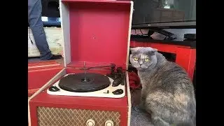 My Garrard Story