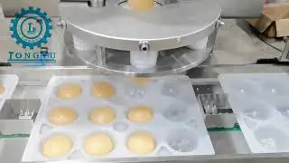 Automatic Ice Cream Mochi Encrusting Machine