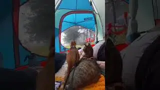 🔥 Best Camping Gear You Can Buy In 2025 #campinggears @futureGenGadget