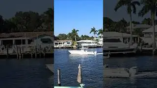 Pompano Beach ⛱️ Boat 🚢 Traffic #boating #floridaboating #florida #boat