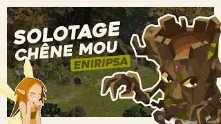 SOLOTAGE CH&Ecirc;NE MOU EN &Eacute;NIRIPSA | Je ne m'attendais &agrave; rien et j'suis quand m&ecirc;me d&eacute;&ccedil;u..
