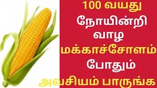 மக்காச்சோளம் பயன்கள்/Health Benefits of Makka Solam/Makka Solam/Maize/Corn/Boiled Corn