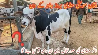 Multan Cow Mandi Saturday|| Multan Cow Mandi Mall Hua Sasta....?||@MultanAnimalLovers 