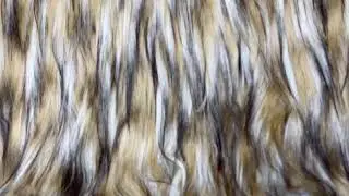 Blonde Coyote Fur