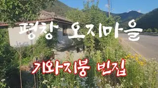 평창 오지마을 동강변 기와지붕 빈집 보겠습니다#평창 미탄면 기화리#뽕나무#공원#동강#백용동굴